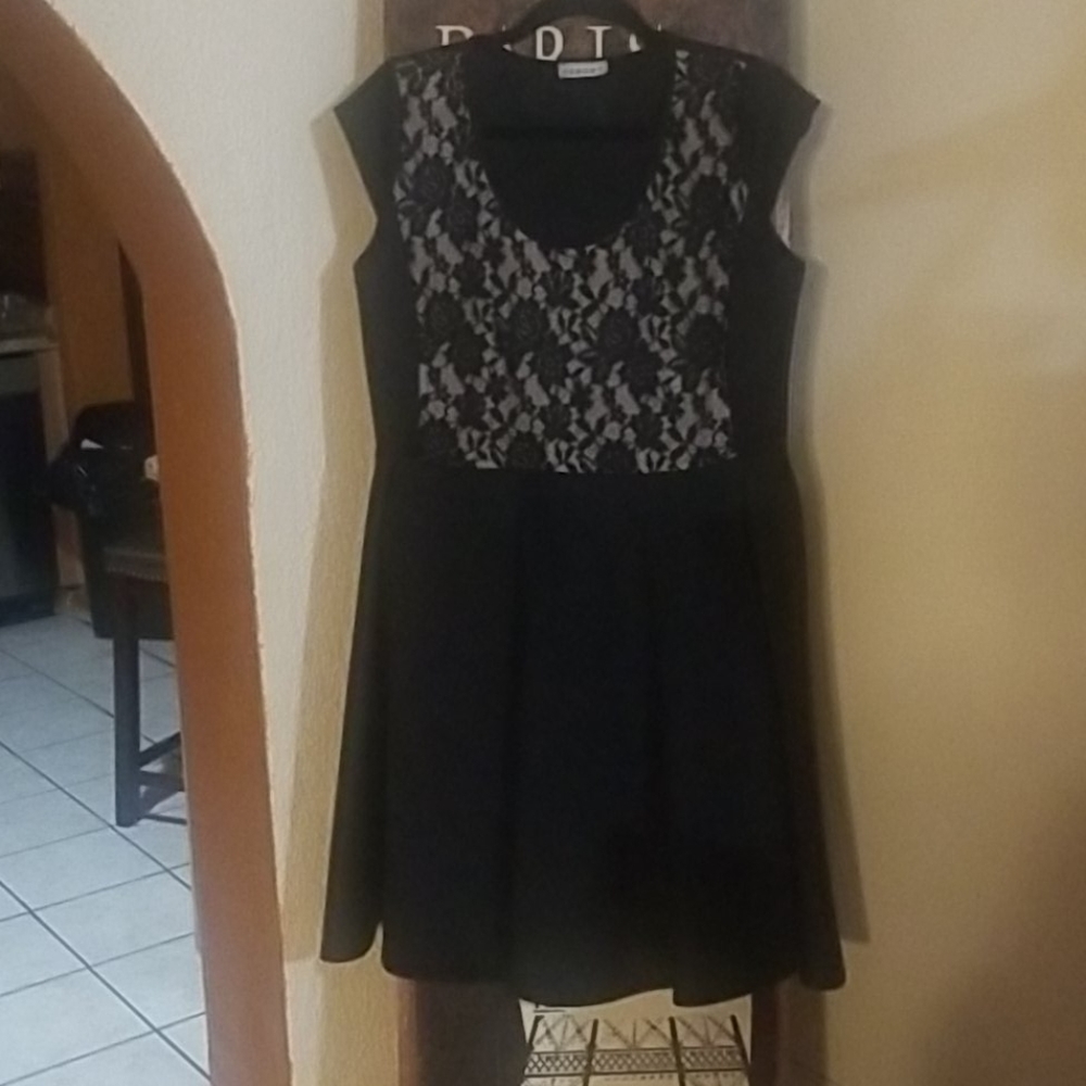 Empire waisted Lace front skater dress